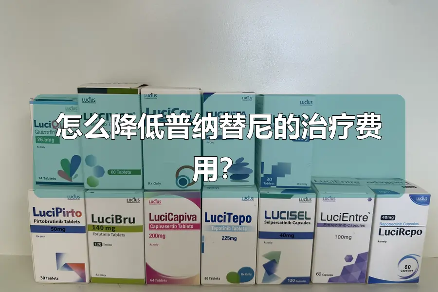 怎么降低普纳替尼的治疗费用？