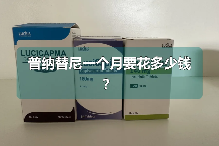 普纳替尼一个月要花多少钱？