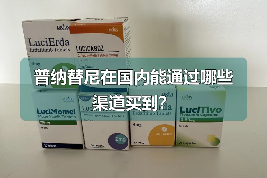 普纳替尼在国内能通过哪些渠道买到?